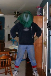 My impromptu bee-keeping costume